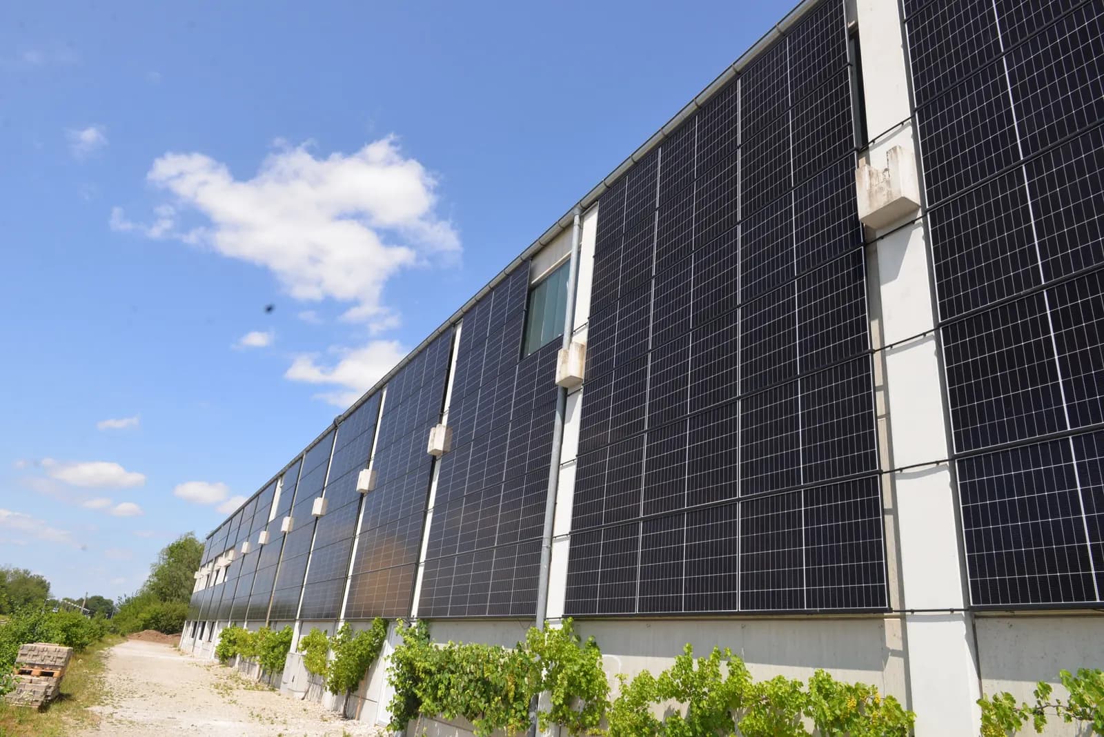 Große Photovoltaik-Fassadenanlage an einer Gewerbehalle vor blauem Himmel